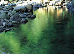 A creek with rocks lining both sides of the bank