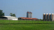Wide angle view of agriculture farm structures.